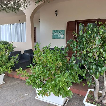 Mivida "Le Stanze Di Ada" Bed & Breakfast San Teodoro  Dış mekan fotoğraf