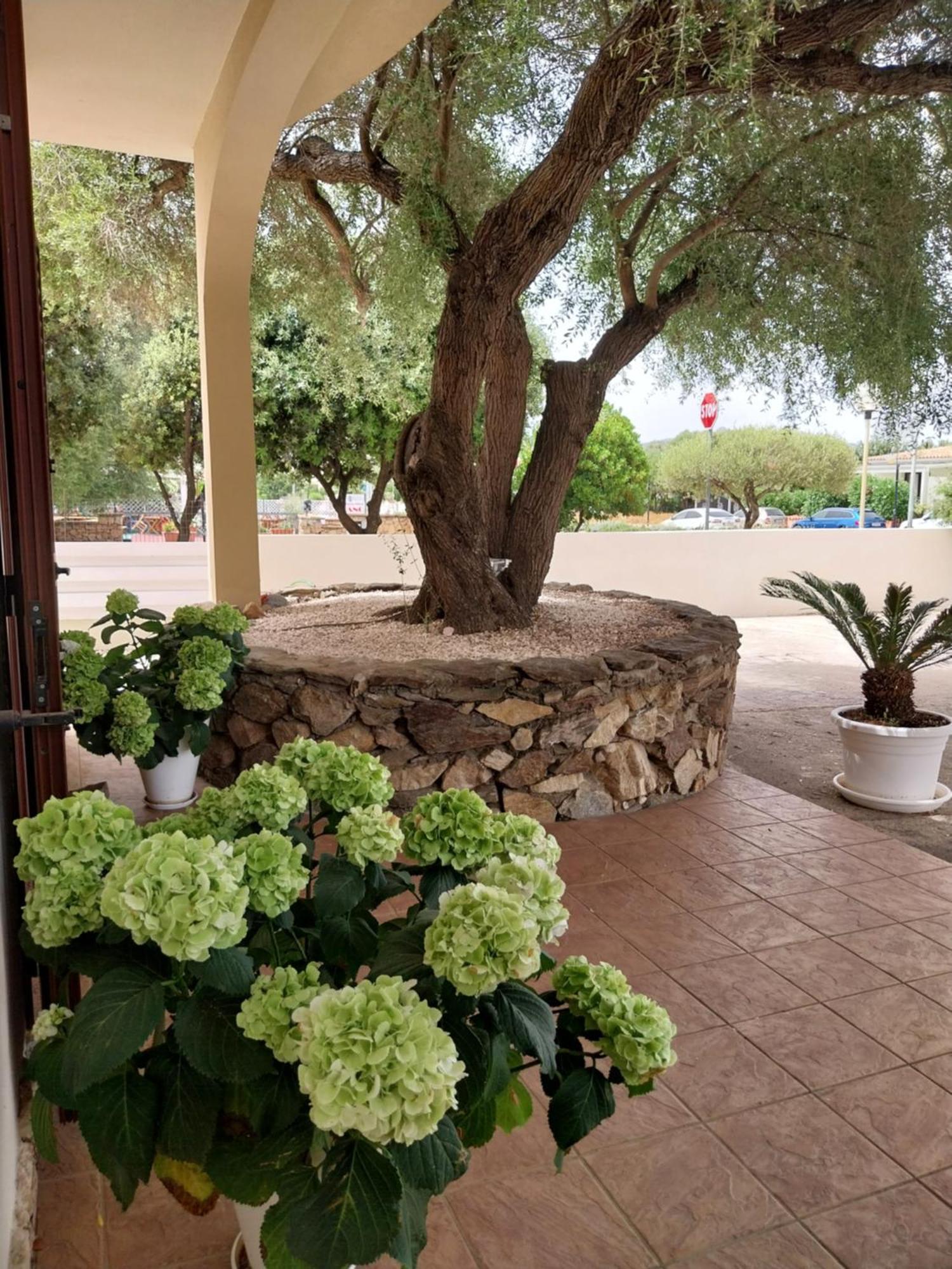 Mivida "Le Stanze Di Ada" Bed & Breakfast San Teodoro  Dış mekan fotoğraf