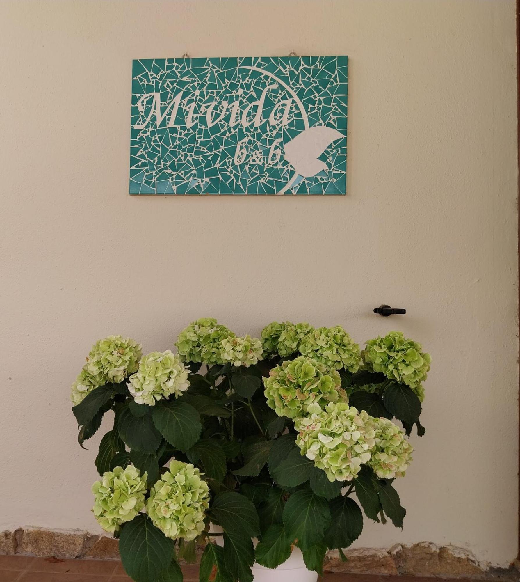 Mivida "Le Stanze Di Ada" Bed & Breakfast San Teodoro  Dış mekan fotoğraf